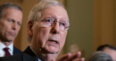 Mitch McConnell Turns Against Border Bill
