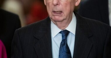 Senate Minority Leader Mitch McConnell is facing much of the fury from Republicans opposing the border and foreign aid package