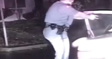 Nicole McClure was arrested at gunpoint after a low speed crash in Thurston County