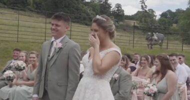 Harry and Amy Millard  (pictured) were probably expecting a smooth day before a brazen cow interrupted their picturesque summer wedding