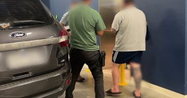 Six men have been arrested over an alleged illicit tobacco importation syndicate