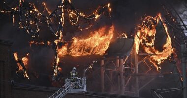A fire raged through a water park attraction with several slides in the Nordic region's largest fun fair with a huge plume of black smoke drifting over Goteborg, Sweden's second largest city