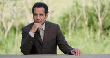 Tony Shalhoub as Adrian Monk