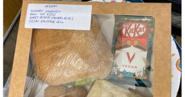 One British mother was left delighted by another parent's generosity as they made a tailored vegan lunchbox just for her son, despite her offering to supply his food