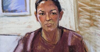 My part in triggering Ghislaine Maxwell’s appeal that could lead to a retrial