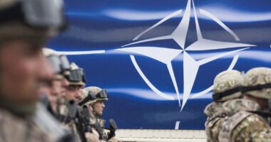 NATO Countries Dispute French President Emmanuel Macron, Claim No Western Troops Will Be Deployed in Russia/Ukraine Conflict