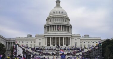 NBC News: New Footage Shows January 6 Rioter Firing a Gun Into the Air