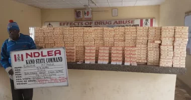 NDLEA arrests insurgents