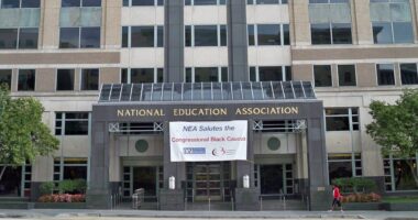 NEA Union Spends Teachers' Dues Pushing Anti-Child Policies
