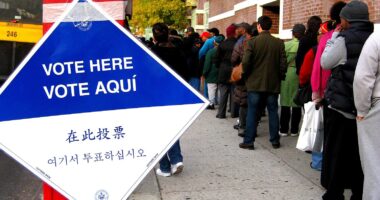 NYC Law Letting Noncitizens Vote Is Unconstitutional