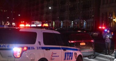 NYPD: Migrant Moped Gang Terrorizing New Yorkers Drags 62-Year-Old Woman down the Street