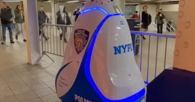 NYPD's security robot has been pulled from its Times Square subway station post just months after Eric Adams described it as 'part of the fabric' of the future