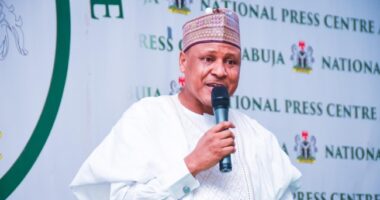 Naira Depreciation: CBN?s efforts have been met with ferocious resistance from speculators and other unscrupulous players within and outside our country - Minister