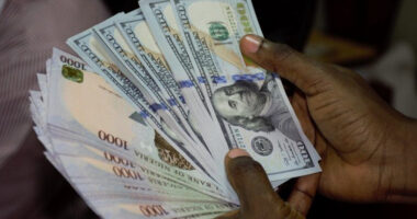 Naira exchanges at N1,440/$ in parallel market