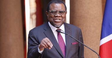 The Namibian presidency said Mr Geingob's medical team at the hospital in the capital city of Windhoek did its best to help him, but he died with his wife, Monica Geingos, and children by his side (pictured: Hage Geingob in 2023)