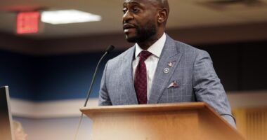 Nathan Wade Says He Drove Fani Willis to Tennessee for Lunch Where She Wouldn't Be Recognized