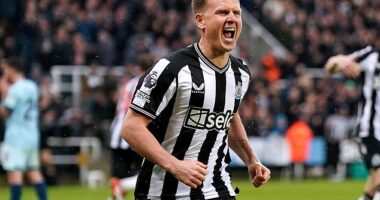 Matt Ritchie came off the bench to rescue a point for Newcastle against Bournemouth