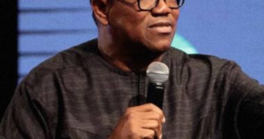 Nigerian youths can?t wait to take back their country from those who regard national leadership as a criminal racket - Peter Obi