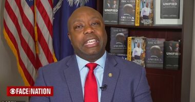 Sen. Tim Scott (R-S.C.) said the name-calling from Nikki Haley's son Nalin is proof that their campaign is becoming 'desperate'