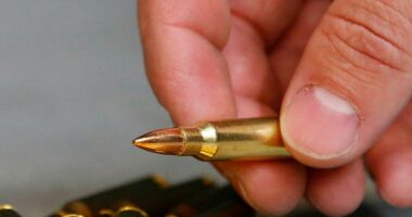Ninth Circuit Panel Grants Stay: Ammo Controls Enforceable While California Appeals Earlier Ruling