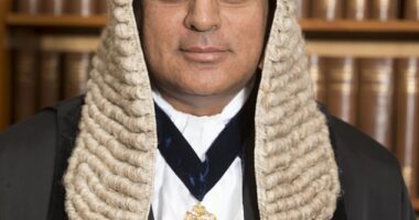 Judge Tan Ikram (pictured) found them guilty at Westminster Magistrates Court but did not impose a jail term or community order, saying their lesson had been ¿well-learned¿
