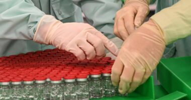 Novo Nordisk’s controlling shareholder to buy Catalent for $16.5 billion