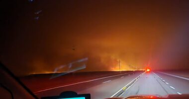 Rapidly moving Texas wildfires that have 11 million under a 'red flag warning' have shut down a nuclear facility as strong winds, dry grass and unseasonably warm temperatures fueled the blaze