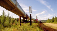 Oil Companies Must Pay $7.4 Million Due To Pipeline Spill, Justice Department Announces