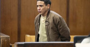 Yohenry Brito, 24, was one of six arrested and charged with assault following the vicious attack on January 27