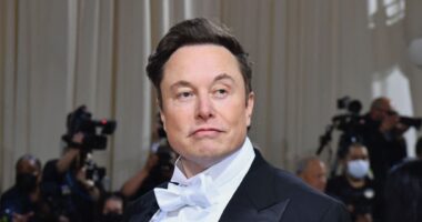 Opinion: Elon Musk’s pay-package fight shows how modern CEOs see themselves as kings of old