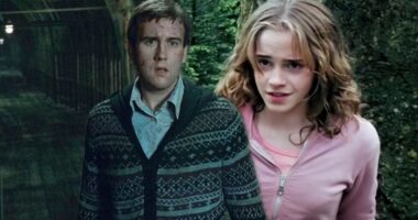 Original Harry Potter Actor Is Open To TV Reboot Return (But As A Different Character)