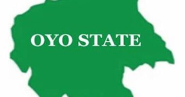 Oyo traditional ruler suspended over alleged ties with illegal miners