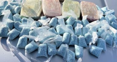POISONING THE BLOOD: Mexicans Caught Smuggling 500 Pounds of Fentanyl to U.S. Hidden in Bus Wheel.