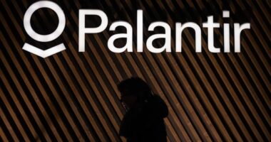 Palantir’s stock surges nearly 20% as company rides AI wave to upbeat earnings, outlook