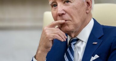 Panic at DNC HQ As Dems Hit Flashing Red Lights Territory With Black, Hispanic Voters – RedState
