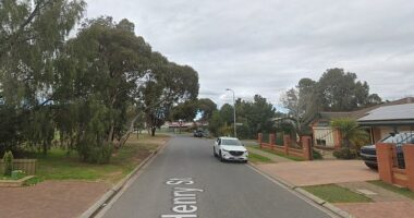 A 23-year-old man has died after being allegedly being stabbed by a man, 27, at a home on Henry St in Paralowie (pictured), North Adelaide, on Tuesday morning