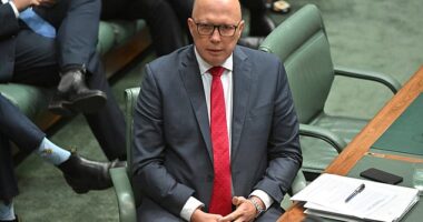 Opposition Leader Peter Dutton has questioned Steven Miles being fit for the job of Queensland Premier