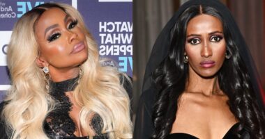 Phaedra Parks Reacts To Chanel Ayan's Shady Dress Compliment