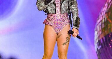 Grammy-winning singer Pink briefly stopped her concert to share some sweet words of encouragement to a fan, who went into labor during her latest show in Australia (pictured last year)