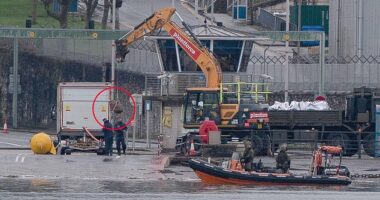 A crane is used to delicately lift the WW2 device (circled) into the yellow container, which is en route to being detonated in the waters of the Channel