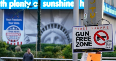 Police Capture Teen Illegal Immigrant Who Shot a Female Tourist in Times Square