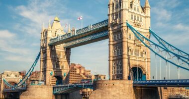 Police forced to close Tower Bridge due to pro-Palestine protest