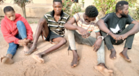 Police parade cultists and car theft syndicate in Osun