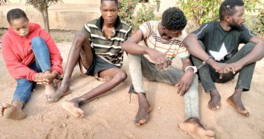 Police parade cultists and car theft syndicate in Osun