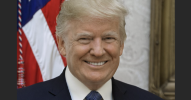 President Trump Is Using Ruth Bader Ginsberg To Win His Appeal And It’s Beautiful!