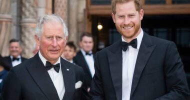 Prince Harry