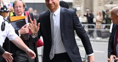 Prince Harry's admissions in his memoir that he took drugs are not 'proof' that he actually did and could have been a ploy to 'sell books', the US government has argued in court