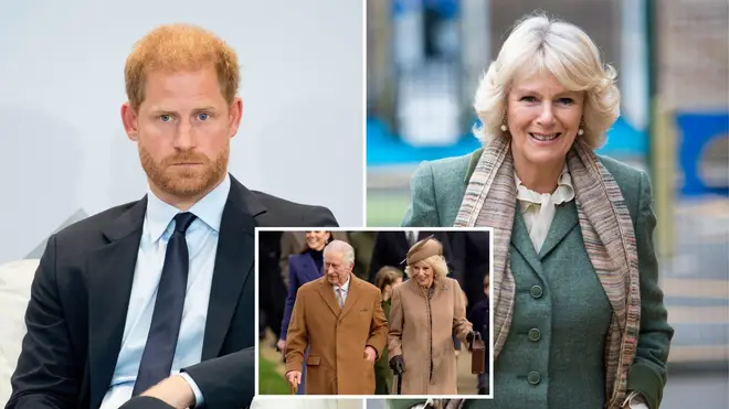 Prince Harry 'did not want to be in the same room' as Queen Camilla when he spoke to the King about cancer diagnosis, sources claim