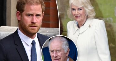 Prince Harry didn't want to be 'in the same room' as Queen Camilla