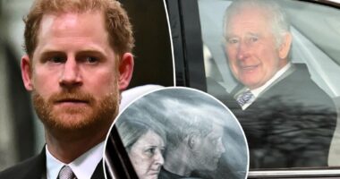 Prince Harry leaves London after visiting cancer-stricken Charles